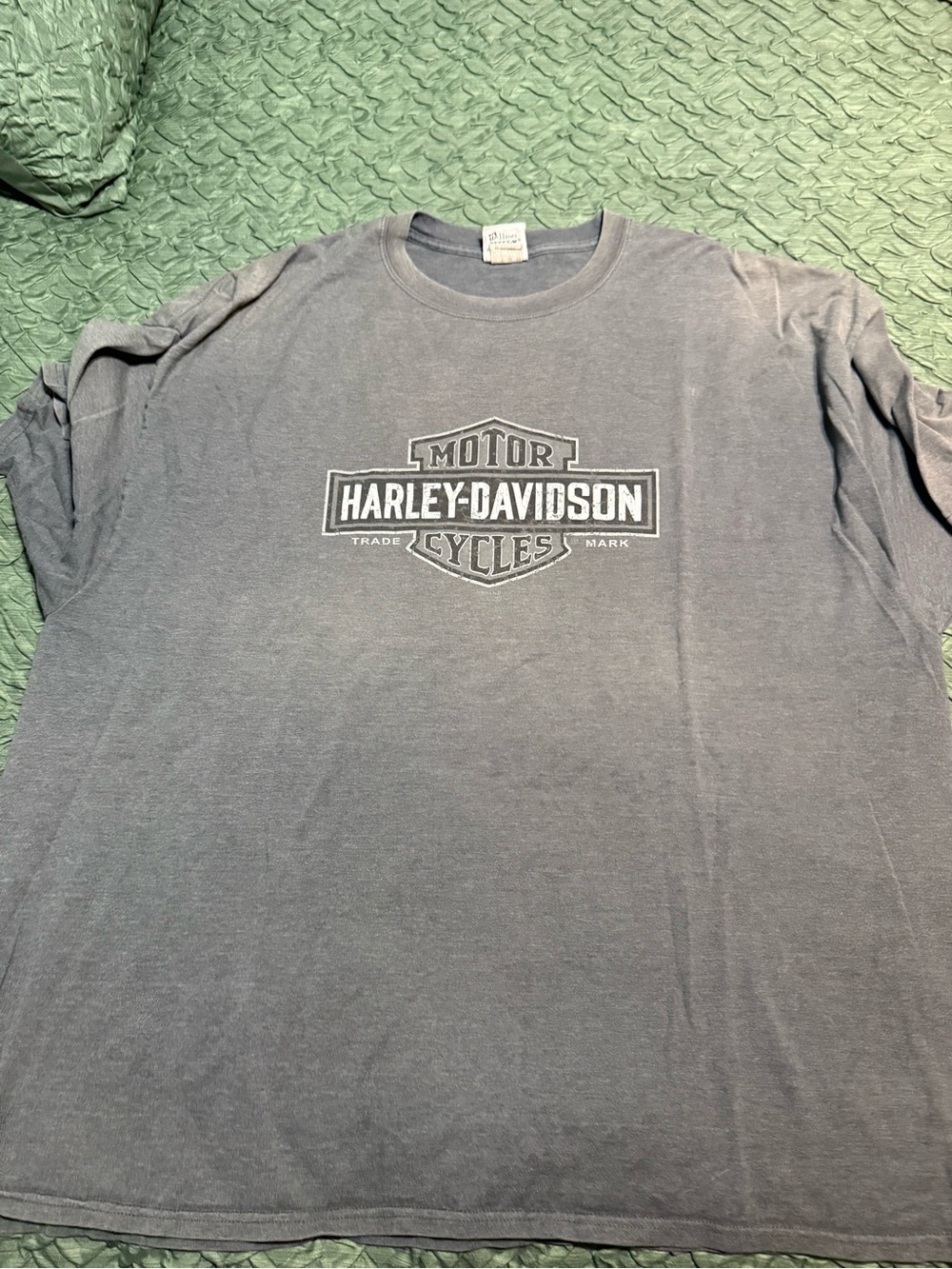 Hanes Men's Gray Long Sleeve Shirt with Center Logo